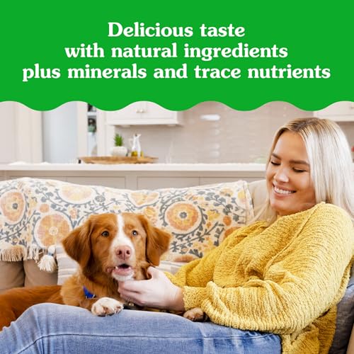 GREENIES PILL POCKETS LARGE SIZE SOFT DOG TREATS FOR CAPSULES, CHEESE FLAVOR, MADE WITH NATURAL INGREDIENTS PLUS MINERALS & TRACE NUTRIENTS, 15.8 OZ. (60 COUNT, PACK OF 1)