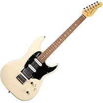 【Made in Canada】Godin session ストラトキャスター Amazon.com: Godin Session LTD 6 String Solid-Body Electric