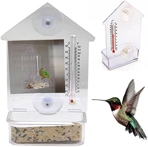 Bird Feeder Window Suction Cup Mixed Treat Clear Holder Feeeding Dish Hanger 6X4