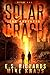 The Collapse - Solar Crash Book 1: (A Post-Apocalyptic Survival Thriller Series)
