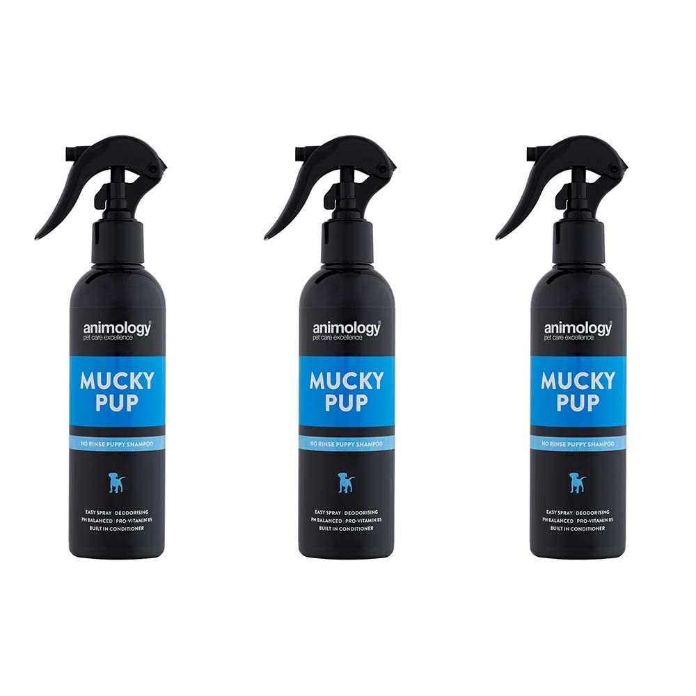 Animology Mucky Pup Shampoo – No-Rinse Dry Shampoo for Dogs – 250 ml Puppy Shampoo – Removes Dirt and Foul Odours – Maintains the Health, Strength, And Condition of Your Dog’s Coat 3 Pack