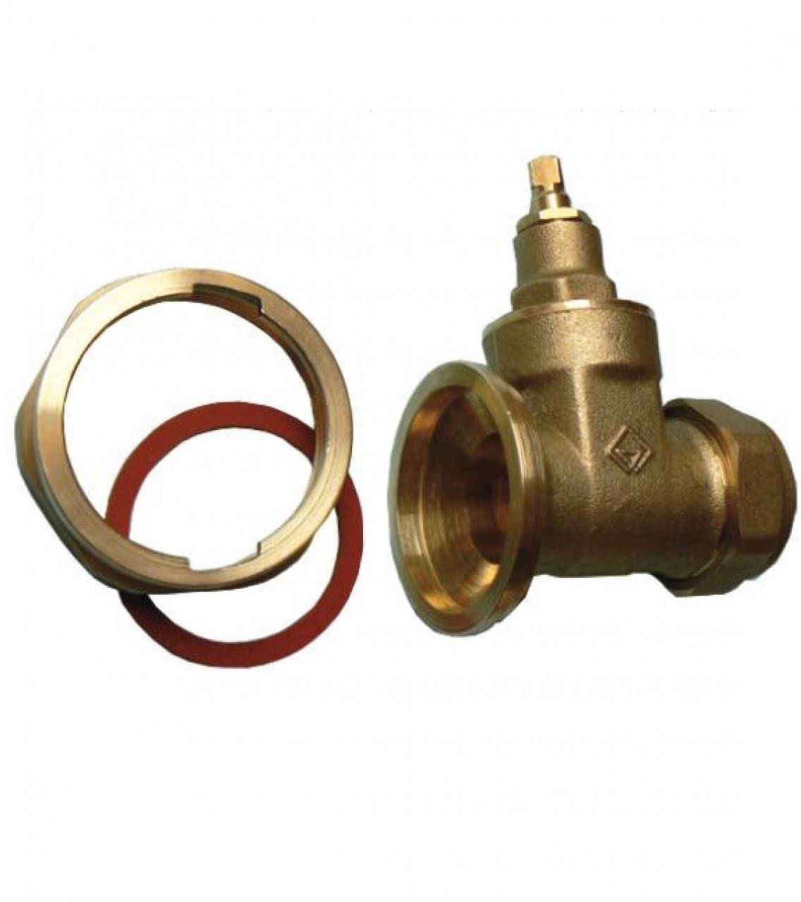 22mm Gate Type Pump Valve - Pack of 2
