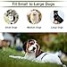 Balight Citronella Spray Bark Collar for Dogs,Stop Barking Collar for Dogs Small Medium Large, Rechargeable Adjustable Waterproof, No Shock, Harmless & Humanethumb 2