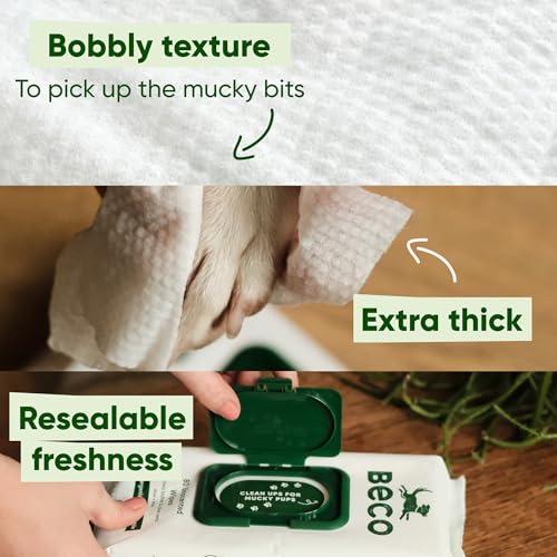 Beco Dog Wipes - 1 Pack of 80, Coconut Scented, For Paws, Body and Bum, Plant-Based Grooming Wipes