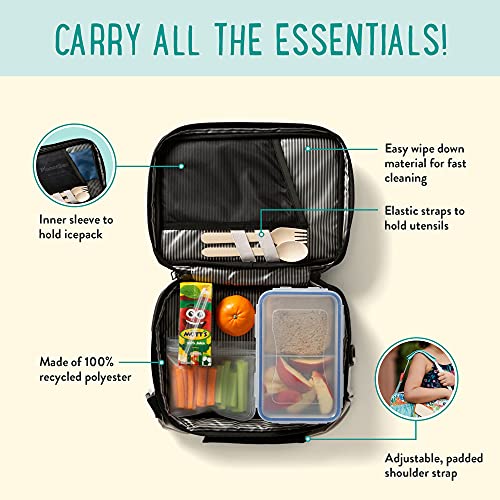 Planetbox Cold Pack For Lunch Box PlanetBox 5268297 Black Currant