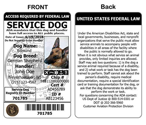 digital service dog id