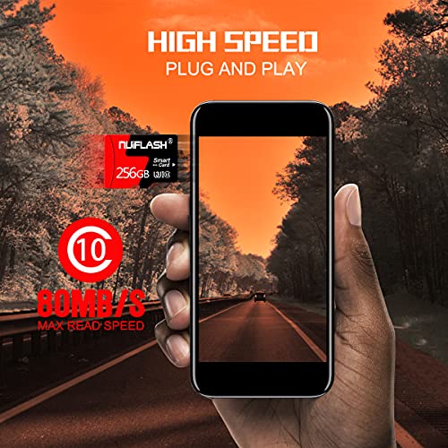 Micro SD Card 256GB Memory Card Class 10 TF Card T Flash Memory Card