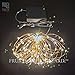 Twinkling LED Fairy String Lights - Fully Waterproof, Indoor Outdoor 39ft 100 Bulb, Standard Plug In + Battery Powered, Warm White Copper Wire Decorative Lighting with Remote Control