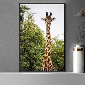 signwin Framed Canvas Wall Art Giraffe Animals Expressive...