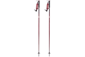LINE Unisex Adult's Wallischtick Ski Poles | Durable Lightweight Aluminum Outdoor Winter Sports Alpine Ski Poles with Ergonom