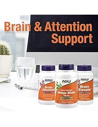 Ginkgo Biloba de Now Foods, 0.004 oz, NOW1047/253/1501, 100, 1, 1