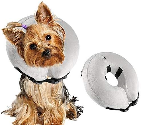 elizabethan collar for small dogs