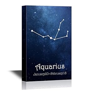 12 Zodiac Signs Constellati Aquarius