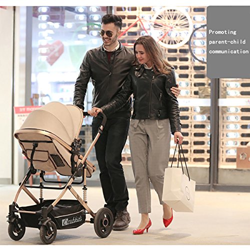 1 YBL+landscape+stroller+available+implementation