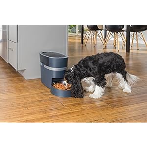 PetSafe-Smart-Feed-Automatic-Dog-and-Cat-Feeder-Smartphone-24-Cups-Wi-Fi-Enabled-App-for-iPh