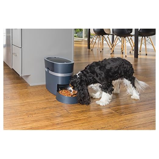 PetSafe-Smart-Feed-Automatic-Dog-and-Cat-Feeder-Smartphone-24-Cups-Wi-Fi-Enabled-App-for-iPh