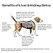 Milk Thistle Liver & Kidney Supplement for Dogs and Cats with DHA, EPA, Silymarin, and Vitamin B (B1 B2 B6 B12) to Prevent Liver and Kidney Disease - 100 Chewable Treats - Chicken Flavor