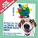 Bumble Ball Otis Claude Crazy Pet (Assorted Colors)