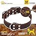 Leather Dog Collar for Small, Medium and Large Dogs – Heavy Duty Wide Dog Collars with Durable Metal Hardware & Double D-Ring – Unique Name Tag Included (M: 1,2″ width / 13″- 20″ length, Brown)thumb 1