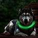 LED Dog Necklace Collar,USB Rechargeable Safety Waterproof Light up Adjustable Flashing Pet Neck Loop by fashion&cool