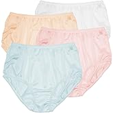 Teri Women's 331 Plain Jane Classic Nylon Silky-Smooth Lightweight Breathable Full Coverage Brief Panty - 4 Pack