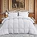 Luxurious Full/Queen Size Goose Down Comforter Duvet Insert, Exquisite Dobby Checkered Design, 1200 Thread Count 100% Egyptian Cotton, 750+ Fill Power, 55 oz Fill Weight, Premium Baffle Box, White