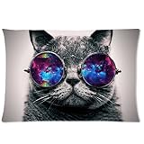 Galaxy Hipster Cat Theme Funny Cat Wear Color Sunglasses Soft Custom Rectangle Pillowcase Pillow Case Covers 20X30(One Side)