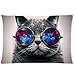Galaxy Hipster Cat Theme Funny Cat Wear Color Sunglasses Soft Polyester Rectangle Pillowcase Pillow Case Covers 12 x 20 Inches