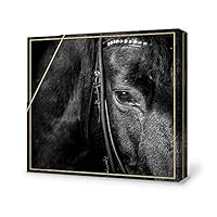 signwin-Canvas Wall Art-Black and White Horse-Canvas Prints Home Artwork Decoration for Living Room,Bedroom - 12x12 inches