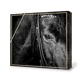 Canvas Wall Art-Black and White Horse-Canvas Prints Home Artwork Decoration for Living Room,Bedroom - 12x12 inches