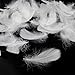 Coceca 350pcs White Feathers for Crafts 3-5 Inches (8-12cm) for Dreamcatcher Various Birthday Party Wedding Festival Decorations