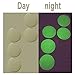 Bettli 100-piece Glow in Dark Clear Epoxy Stickers for Bottle Cap Pendants, 1-inch, Clear