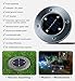 Disk Lights 4-LED Solar-Powered Auto On/Off Outdoor Lighting As Seen On TV (Set of 4; Original)