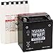Yuasa YUAM32X61 YTX16-BS-1 Maintenance Free AGM Battery with Acid pack