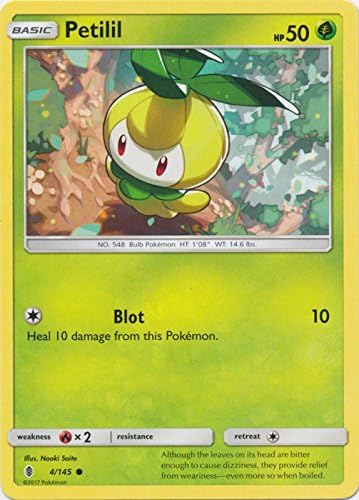 Amazon Com Petilil 4 145 Common Toys Games