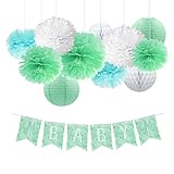 NICROLANDEE Cactus Baby Shower Decoration Mint Green Tissue Pom Poms Eyelet Paper Lantern White Hanging Honeycomb Ball Watercolor Party Banner Fiesta Baby Shower 1st Birthday Cactus Party Decorations