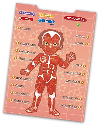 Best Learning i-Poster My Body