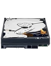 WD Black Desktop Hard Drive: 3.5 Inch, 7200 RPM, SATA III, 64 MB Cache Interno unidad de disco duro