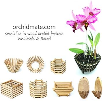 Wooden Orchid Basket - Halfmoon 6 inch 