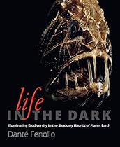 Mixing Music (Idiot's Guides)