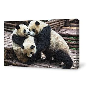 Canvas Wall Art for Living Room,Bedroom Home Artwork Paintings Cute Panda Ready to Hang - 12x18 inches