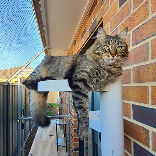 monkee tree cat ladder