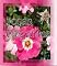 Livro rosas elegantes Volume 1