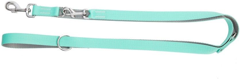 Dingo Dog Leash with Adjustment 220 cm Mint with Silver Contrast 14741, 1.6 x 220 cm