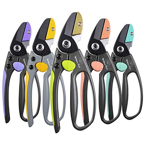 Rainbow Craft 8” Anvil Pruner Shear, Rose Cutters, Herbs Scissors, Plant Trimming Shears for Garden&Lawn – Green Color