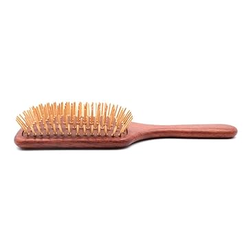 Amazon Com Carrieyukicarrie Hair Brush For Women And Men