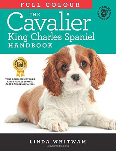 best dry dog food for cavalier king charles spaniel uk