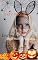 Livro Brave Lion: Seja minha Fantasia - Especial Halloween