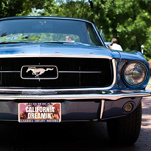 Be Burgundy Custom License Plate for Cars - 12 x 6 inches - Your Text Here, Aluminum Novelty License Plates - Colors Variety
