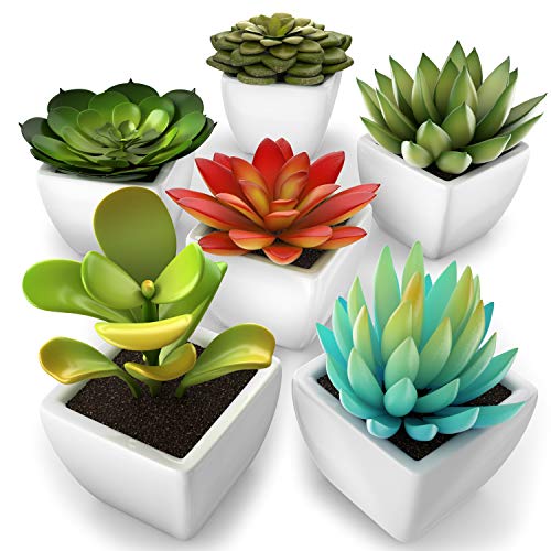 Kdelicate Artificial Succulent Assorted Decorative Faux Succulent Fake